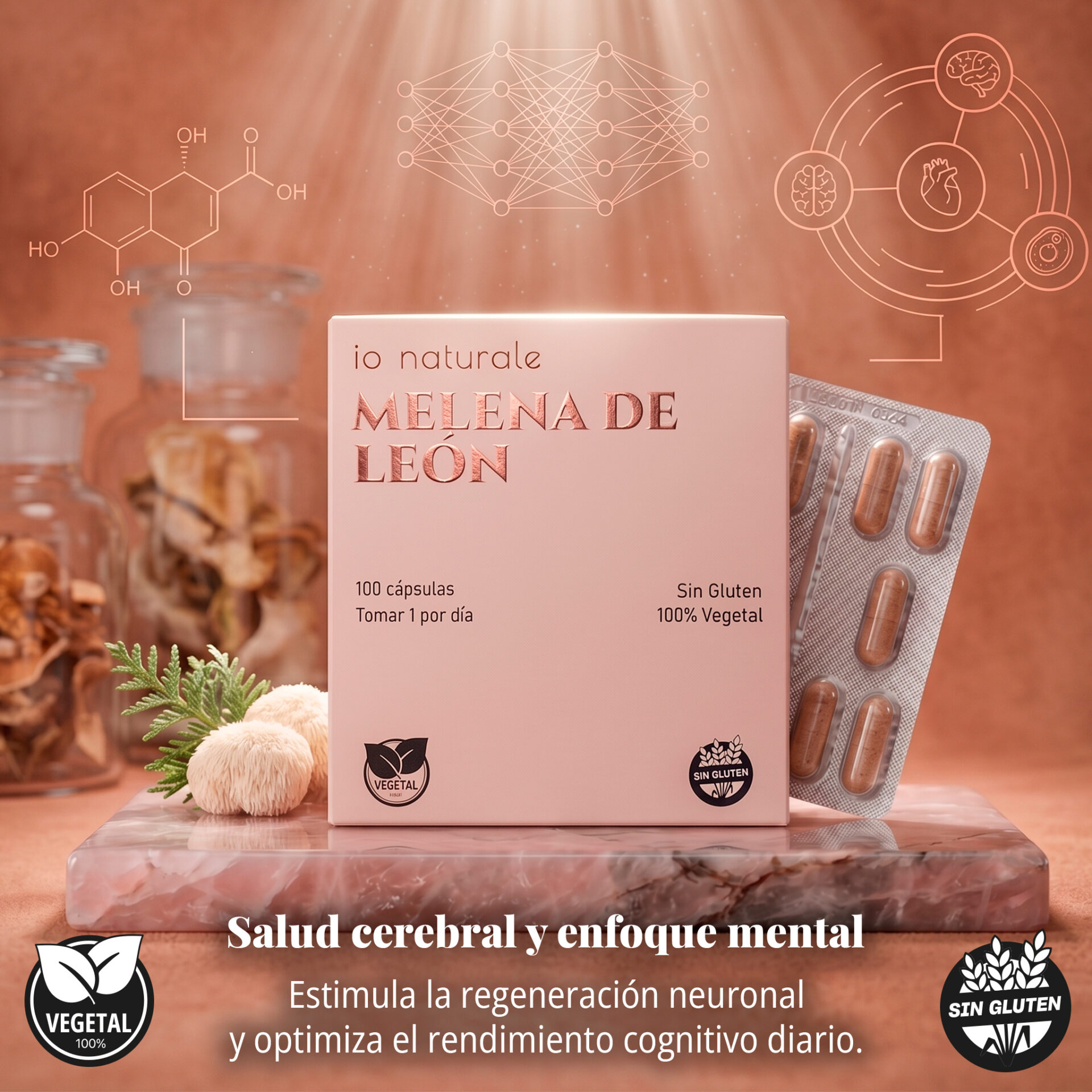 Melena de León + Vitamina B6