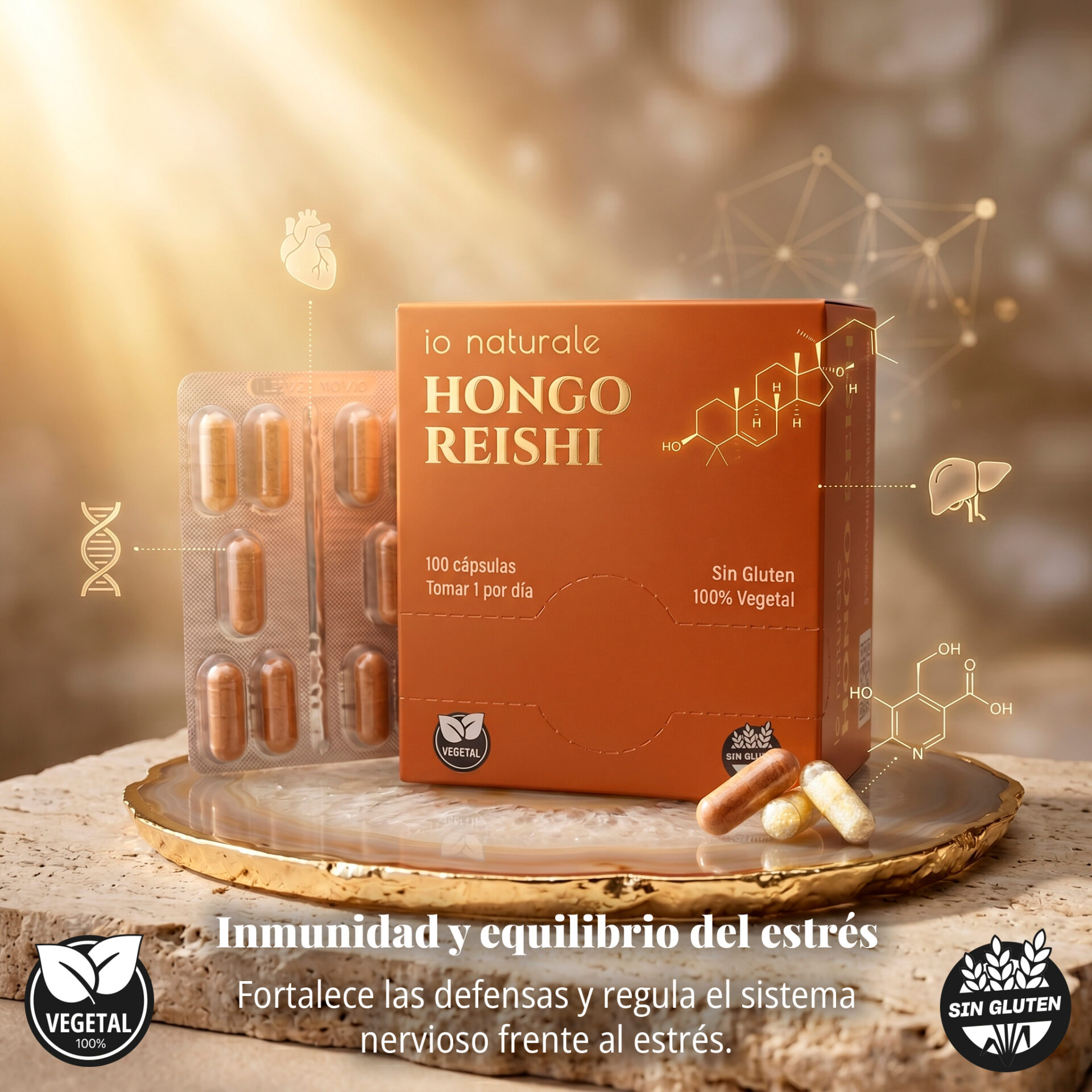 Hongo Reishi + Vitamina B6
