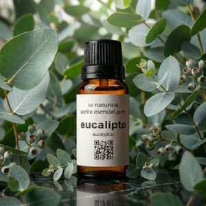 Aceite esencial puro de Eucalipto (Eucalyptus)