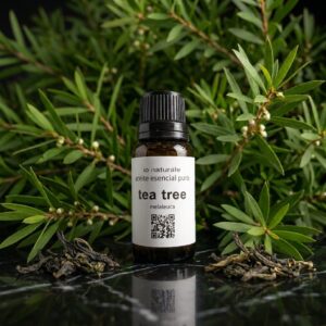 Aceite esencial puro de Tea Tree (Árbol de té)